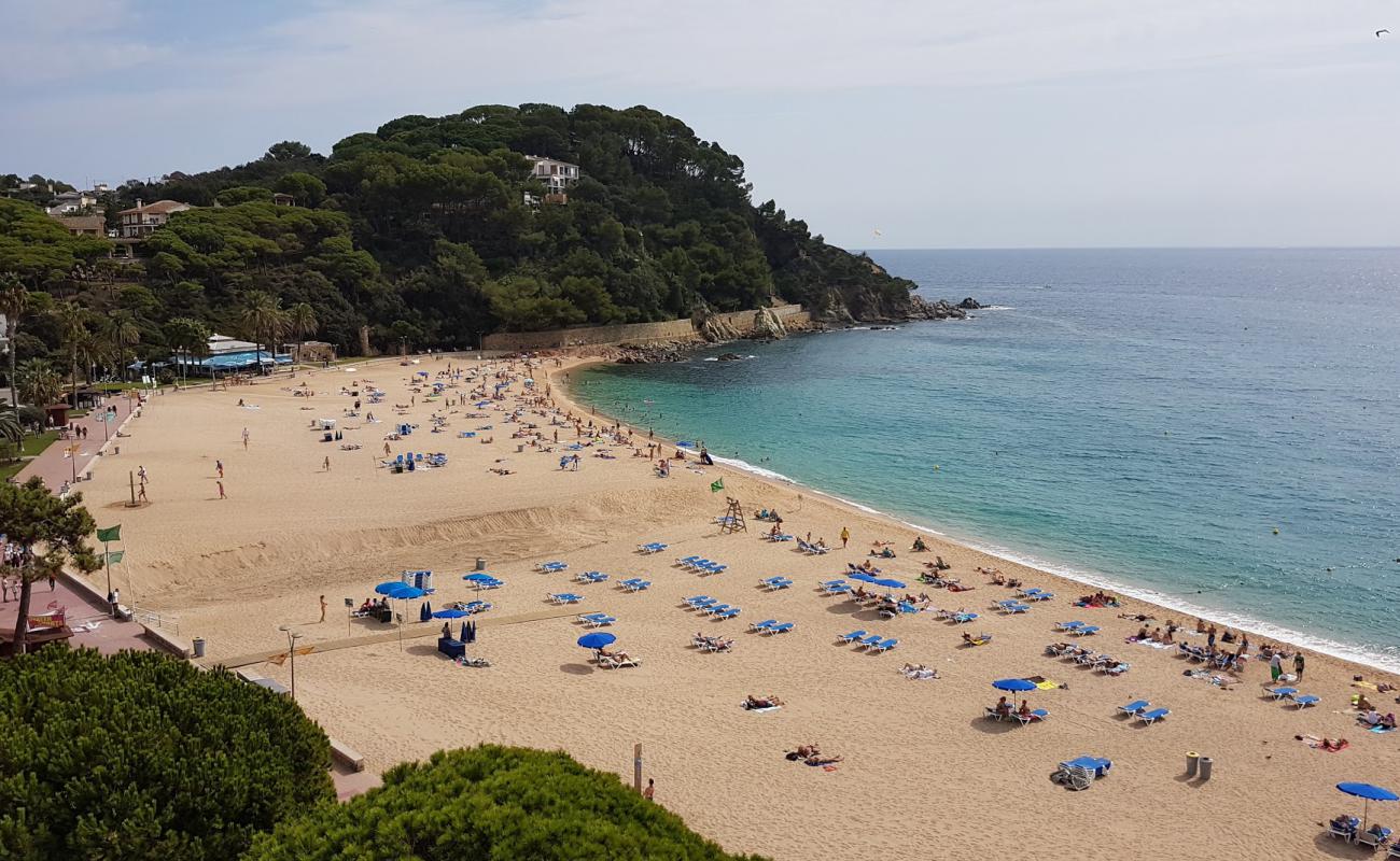 Platja de Fenals
